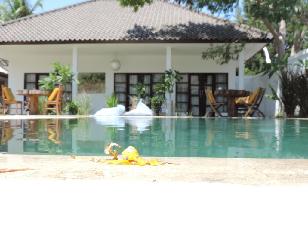 Hotel Casus Dream 3*